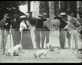疯狂电影放映：欧洲集市影院1896-1916