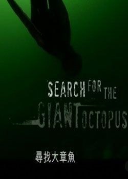 国家地理：寻找大章鱼National Geographic Channel Search For The Giant Octopus
