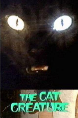 猫精灵