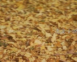 恋爱小说