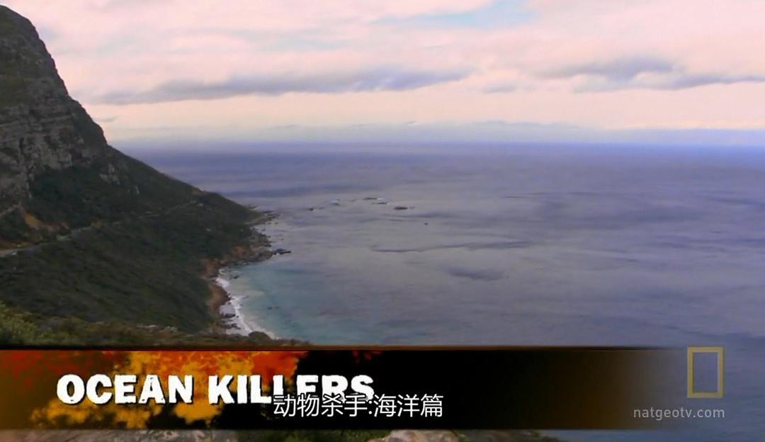 国家地理之动物杀手：海洋篇