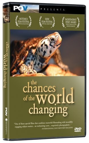 The Chances of the World Changing