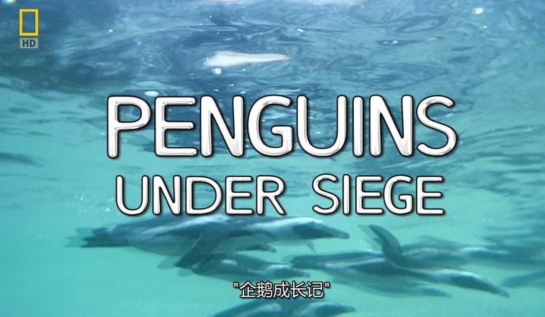 国家地理：企鹅成长记