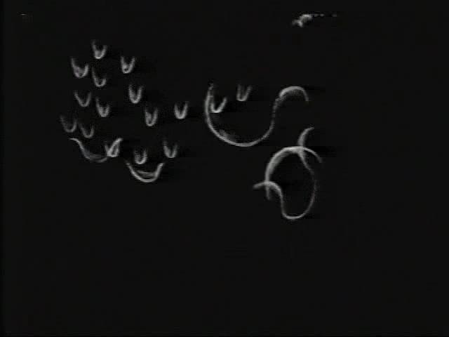 五号研究