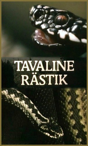 Tavalinne Rästik