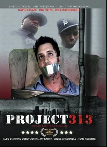 313计划