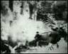 Shooting Captured Insurgents