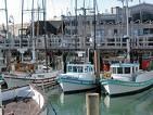 Fisherman's Wharf