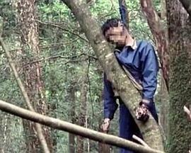青木原森林