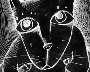 灰猫