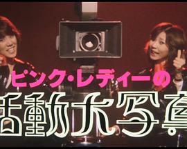 ピンク･レディーの活動大写真