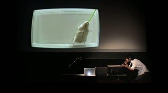 3D 实验室