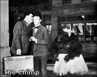 The Chimp