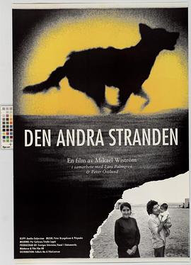 Den andra stranden