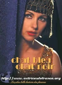 Chat bleu, chat noir