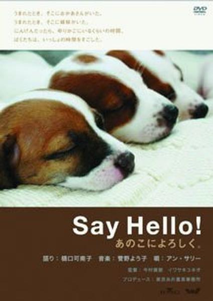 Say Hello!