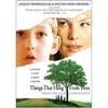 Things That Hang from Trees