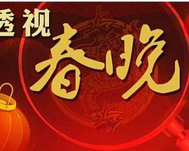 透视春晚：中国最大的庆典