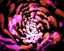 White Hole