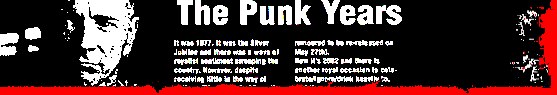 The Punk Years