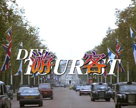 游客