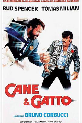 Cane e gatto