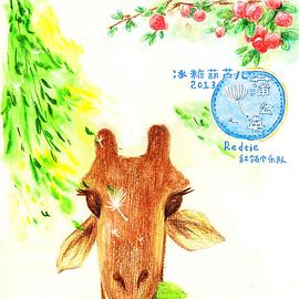 蒲公英
