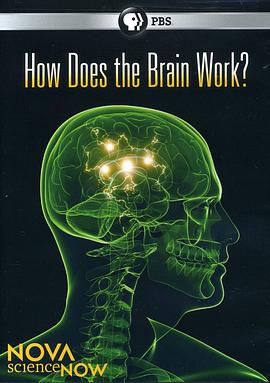PBS新星今日科学系列 大脑的奥秘