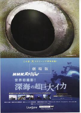 NHKスペシャル 世界初撮影！深海の超巨大イカ
