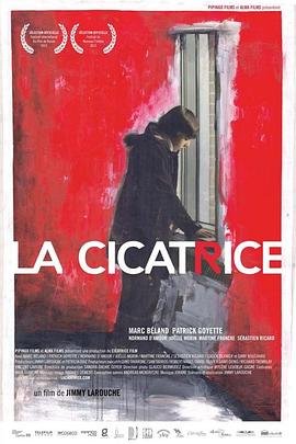 La cicatrice