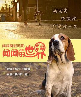 闻闻的世界