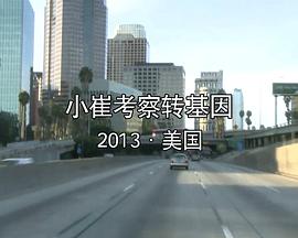 小崔考察转基因