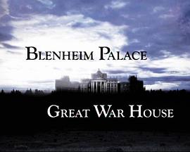 Blenheim Palace: Great War House