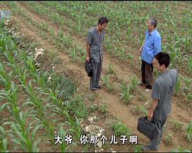 法官老张轶事之阳光与土地