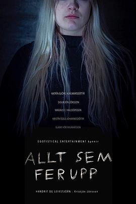 Allt sem fer upp
