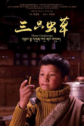 少年桑吉
