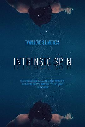 Intrinsic Spin