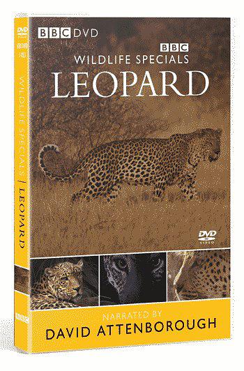 Wildlife Special: Leopard