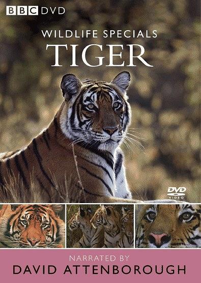 Wildlife Special: Tiger
