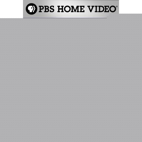 PBS频道之中情局秘辛