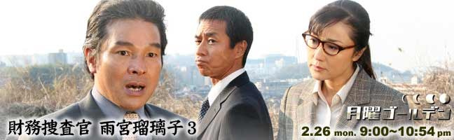 財務捜査官 雨宮瑠璃子3