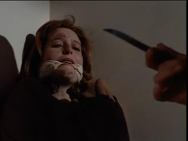 "The X Files"  Season 2, Episode 13: Irresistible