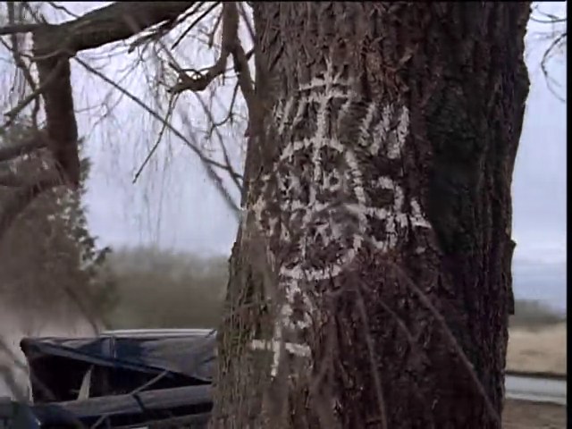 "The X Files"  Season 2, Episode 15: Fresh Bones