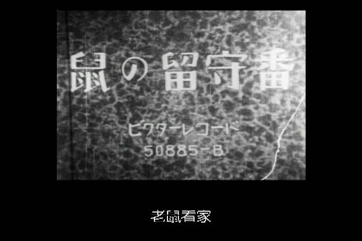 老鼠看家