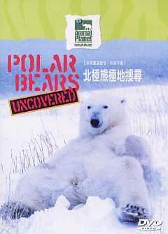 北极熊极地搜寻