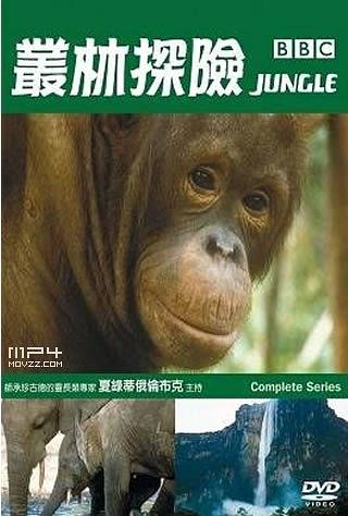 热带雨林
