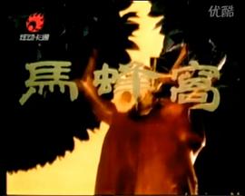 马蜂窝