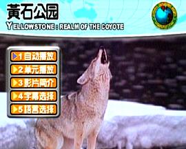 黄石公园：土狼的王国