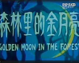 森林里的金月亮