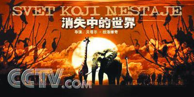 消失中的世界